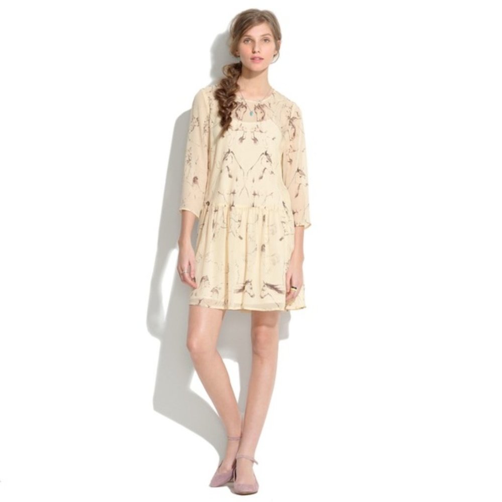 Madewell Sketchyard Horse Silk Dress